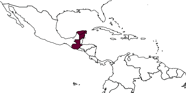 map of Sphaeropthalma hati     Williams & Pitts, 2007